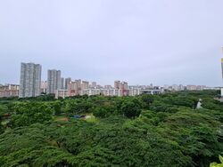 Blk 315A Teck Ghee Vista (Ang Mo Kio), HDB 4 Rooms #589699301